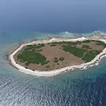 Mirta