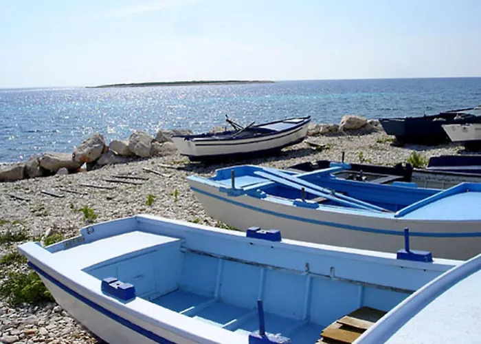 Mirta ベリ・ラット